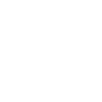 Play Icon